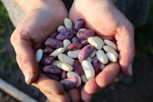 Love those beans